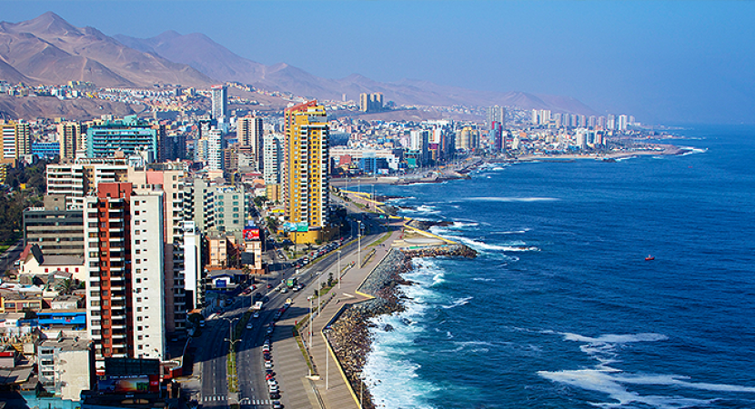 Científicos chilenos investigan posible microalga tóxica presente en la costa de Antofagasta