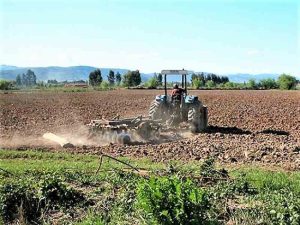 Autoridades entregan recursos a agricultores de zonas rurales de la RM para enfrentar falta de agua