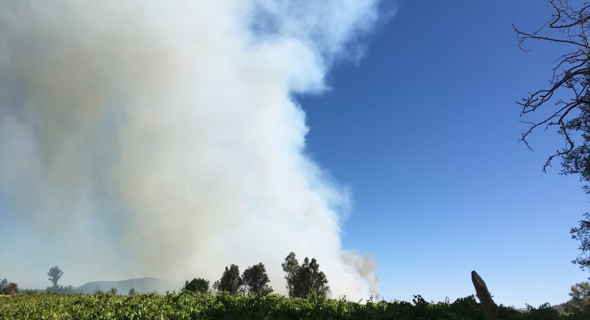 Onemi declara alerta roja en El Quisco debido a incendio forestal