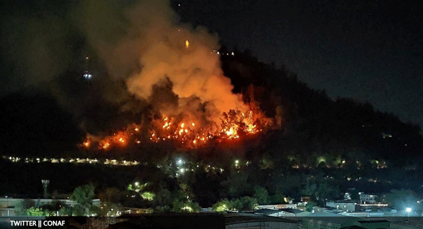 Incedio forestal afectó parte del Cerro San Cristobal y fue controlado durante la madrugada