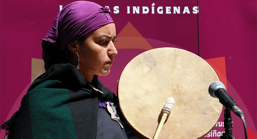 Encuesta Cadem: 76% asegura que el pueblo mapuche es discriminado por la sociedad chilena