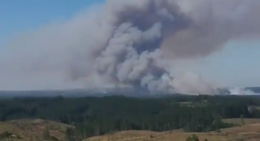 Comuna de Laja bajo alerta roja por incendios forestales