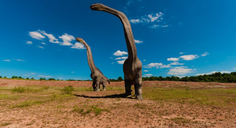 25 años de estudios permiten nuevo descubrimiento paleontológico en Argentina
