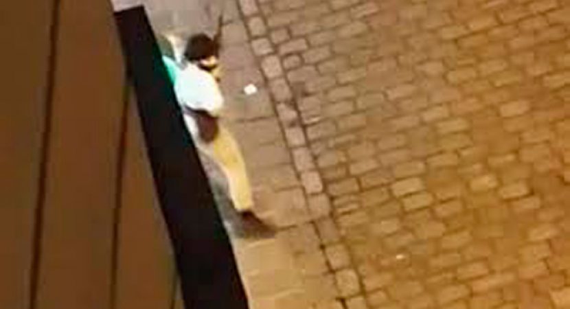 Ataque terrorista en Viena deja tres fallecidos y varios heridos entre ellos un policía que se encuentra grave