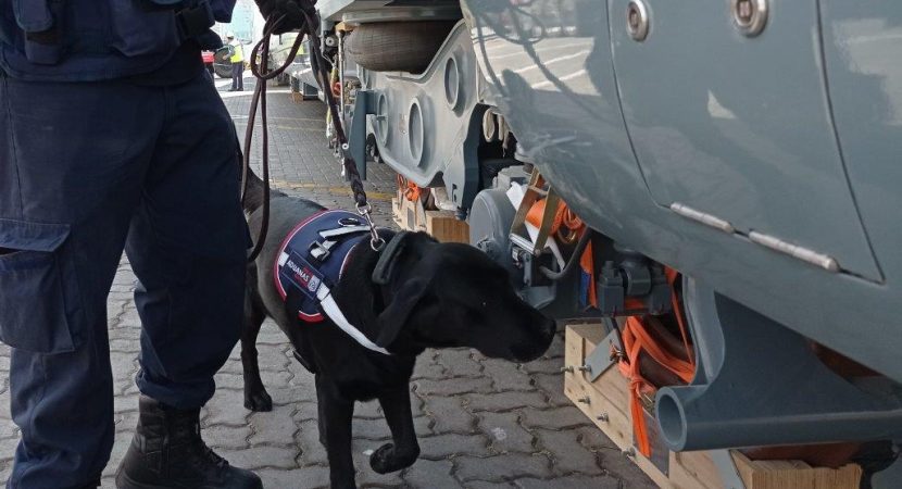 Entre el 2019 y 2021 canes detectores de Aduanas han protagonizado la incautación de 700 kilos de drogas