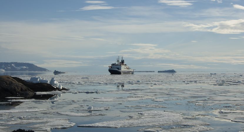 Estudio comparó presencia de metales trazas en el Ártico y la Antártica
