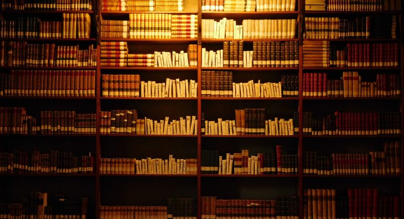 Biblioteca Patrimonial Recoleta Dominica presenta exposición “Biblioteca Blanca” de Mariana Tocornal