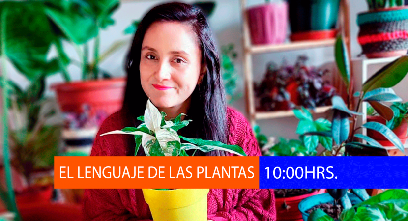 VIDEO || El Lenguaje de las Plantas 22/7/2022
