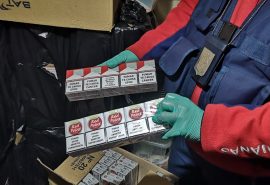 Incautan más de medios millón de cigarrillos de contrabando en casa de Punta Arenas