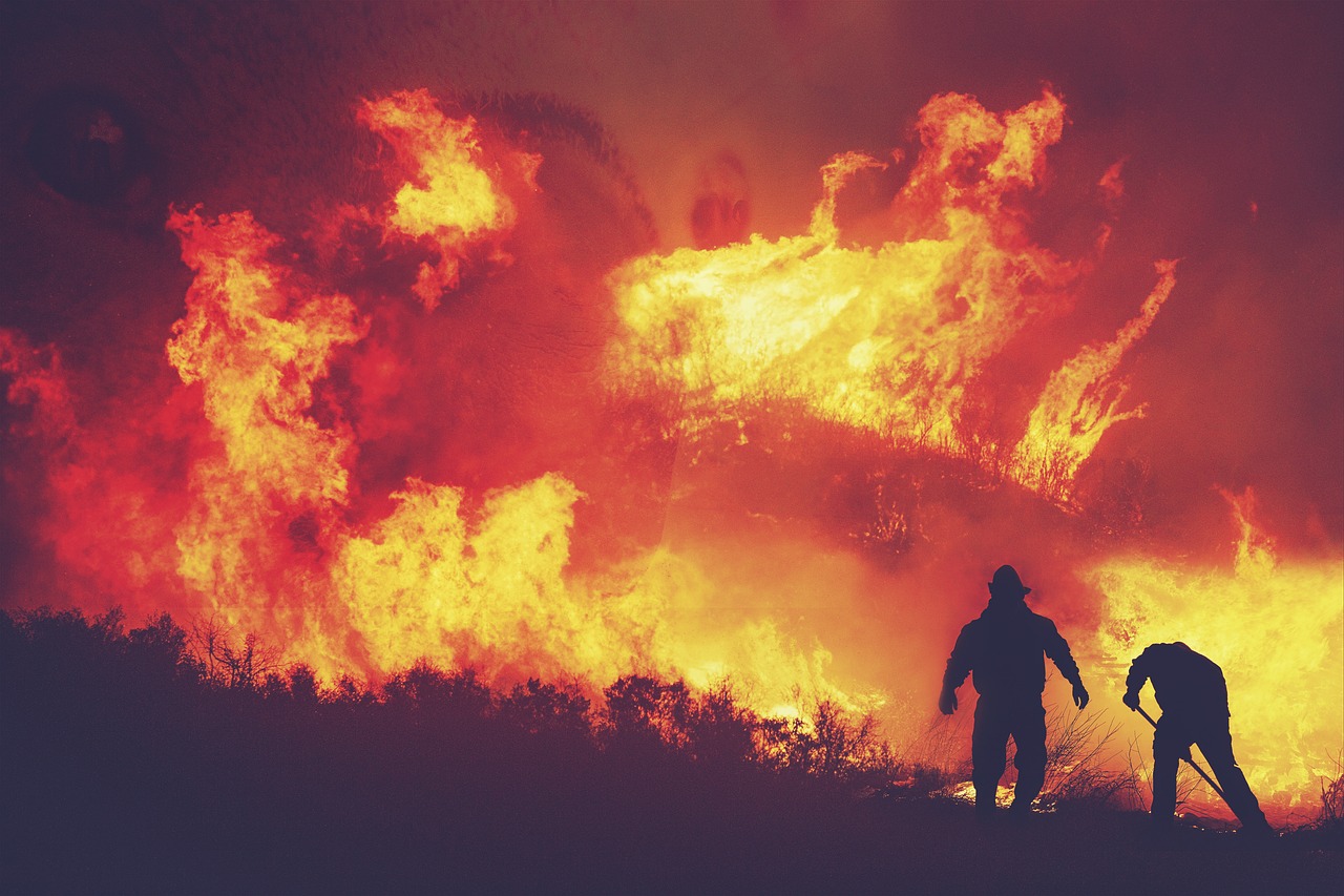 Devastadores incendios forestales: una amenaza para nuestros bosques