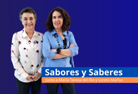 Sabores y Saberes 27/5/2025