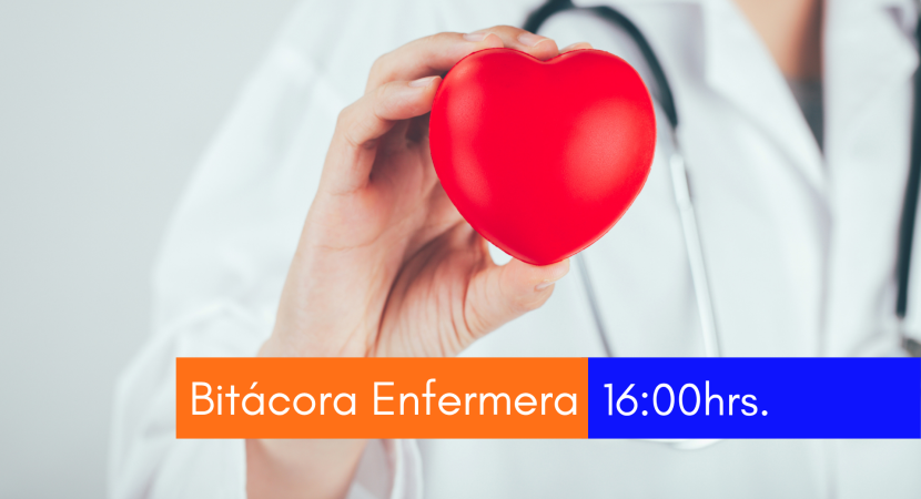 Bitácora Enfermera