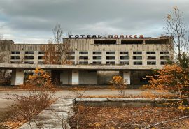 Perros azules en Chernóbil: fenómeno misterioso en la zona de exclusión