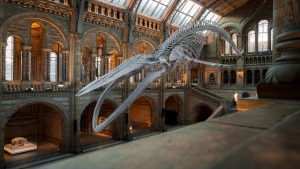 Noche de Museos 2025: agenda gratuita para el viernes 24 de octubre