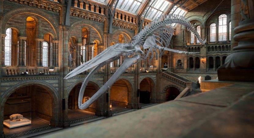 Noche de Museos 2025: agenda gratuita para el viernes 24 de octubre