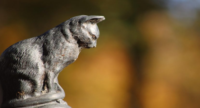 Cámara aprueba permiso laboral por muerte de mascota