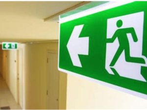 Incendios en Ñuble y Biobío ponen en evidencia brecha crítica en evacuaciones