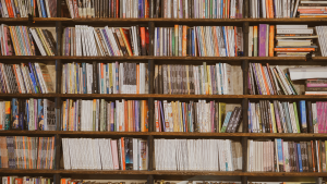 Por qué los primeros meses de clases son clave para formar lectores y despertar la creatividad