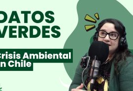 Datos Verdes || Crisis ambiental en Chile || 24 de abril 2026