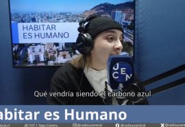 El secreto del océano: ¿Qué es el carbono azul y por qué es clave contra el cambio climático?