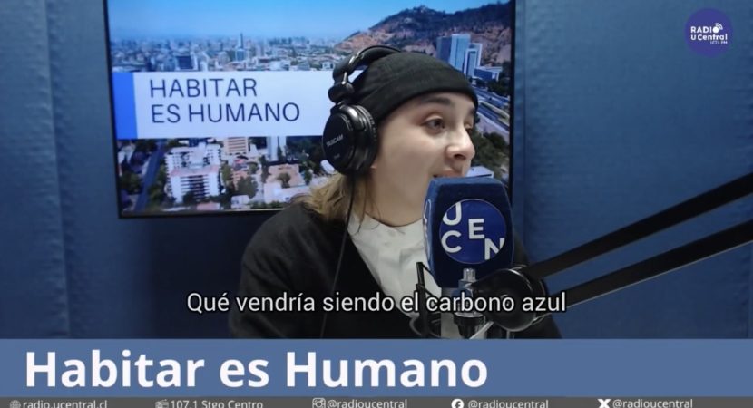 El secreto del océano: ¿Qué es el carbono azul y por qué es clave contra el cambio climático?