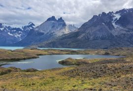 Respira Patagonia: El megaproyecto que busca restaurar el suelo en el sur de Chile