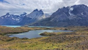 Respira Patagonia: El megaproyecto que busca restaurar el suelo en el sur de Chile