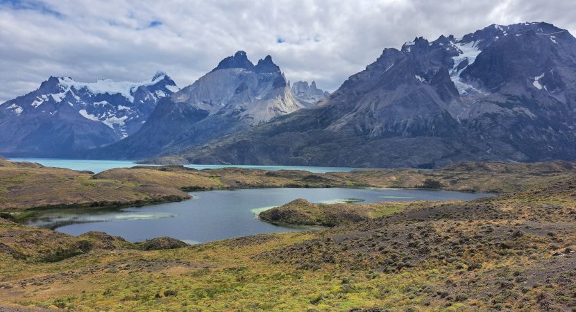 Respira Patagonia: El megaproyecto que busca restaurar el suelo en el sur de Chile