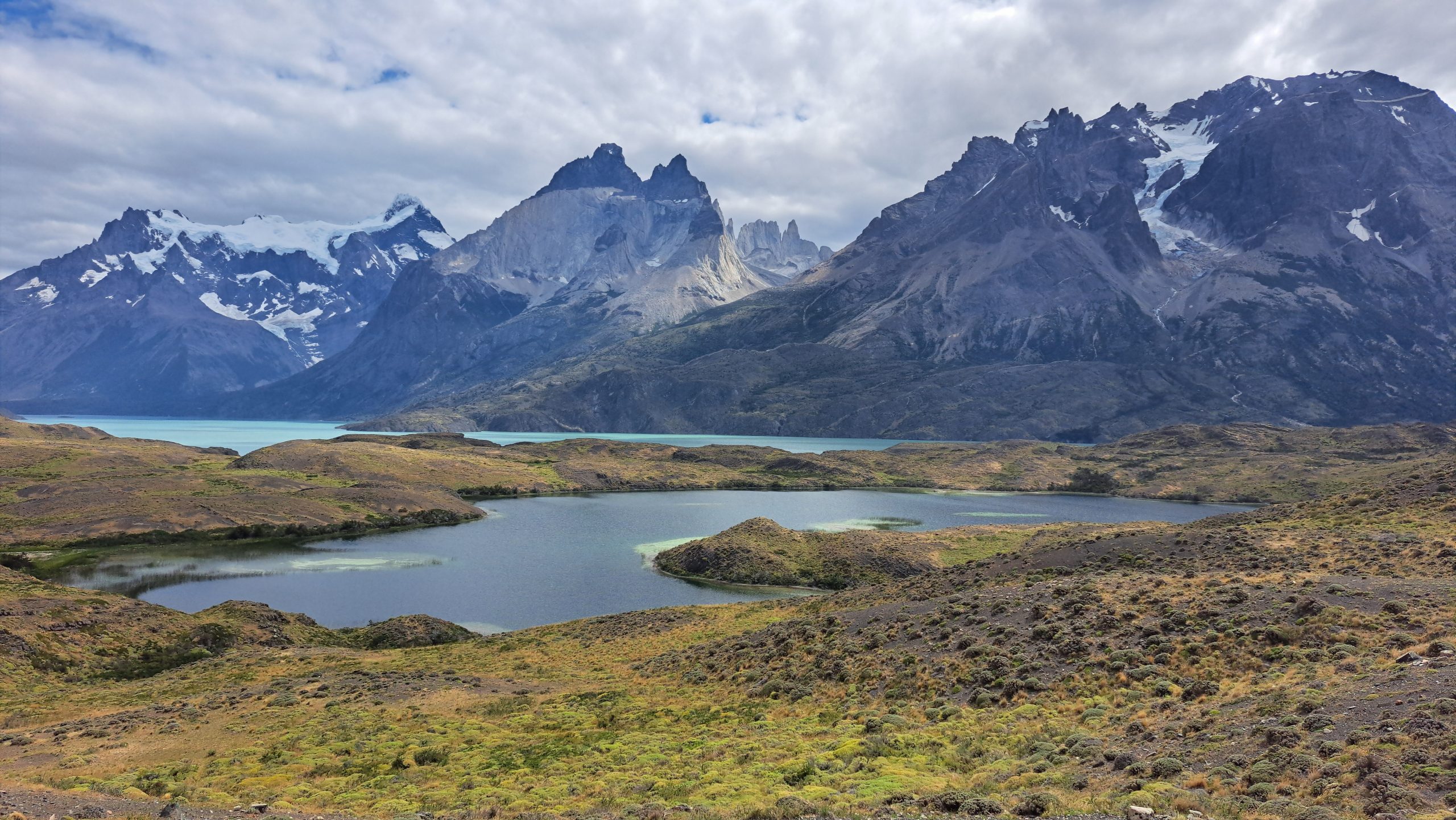 Respira Patagonia: El megaproyecto que busca restaurar el suelo en el sur de Chile